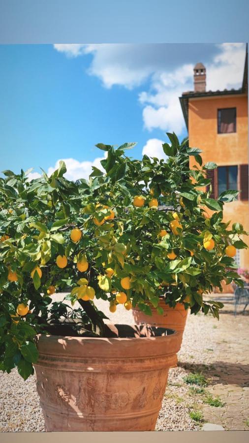 San Giovanni  Fattoria Di Catignano旅馆 外观 照片